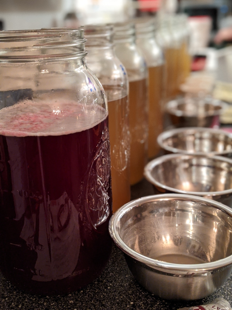 A series of jars holding meads of different colors, ready for taste testing.